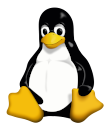linux_pingui_ico
